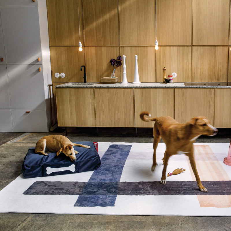 Lit pour chien Doggielounge Velvet de Fatboy, en velours écoresponsable, facile à nettoyer et parfait pour les intérieurs canadiens.