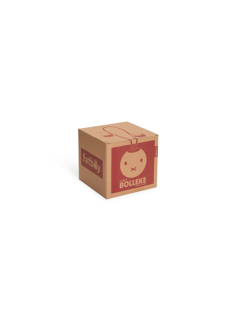 Gros plan sur la boîte de la Bolleke x Miffy avec graphismes et détails du produit.